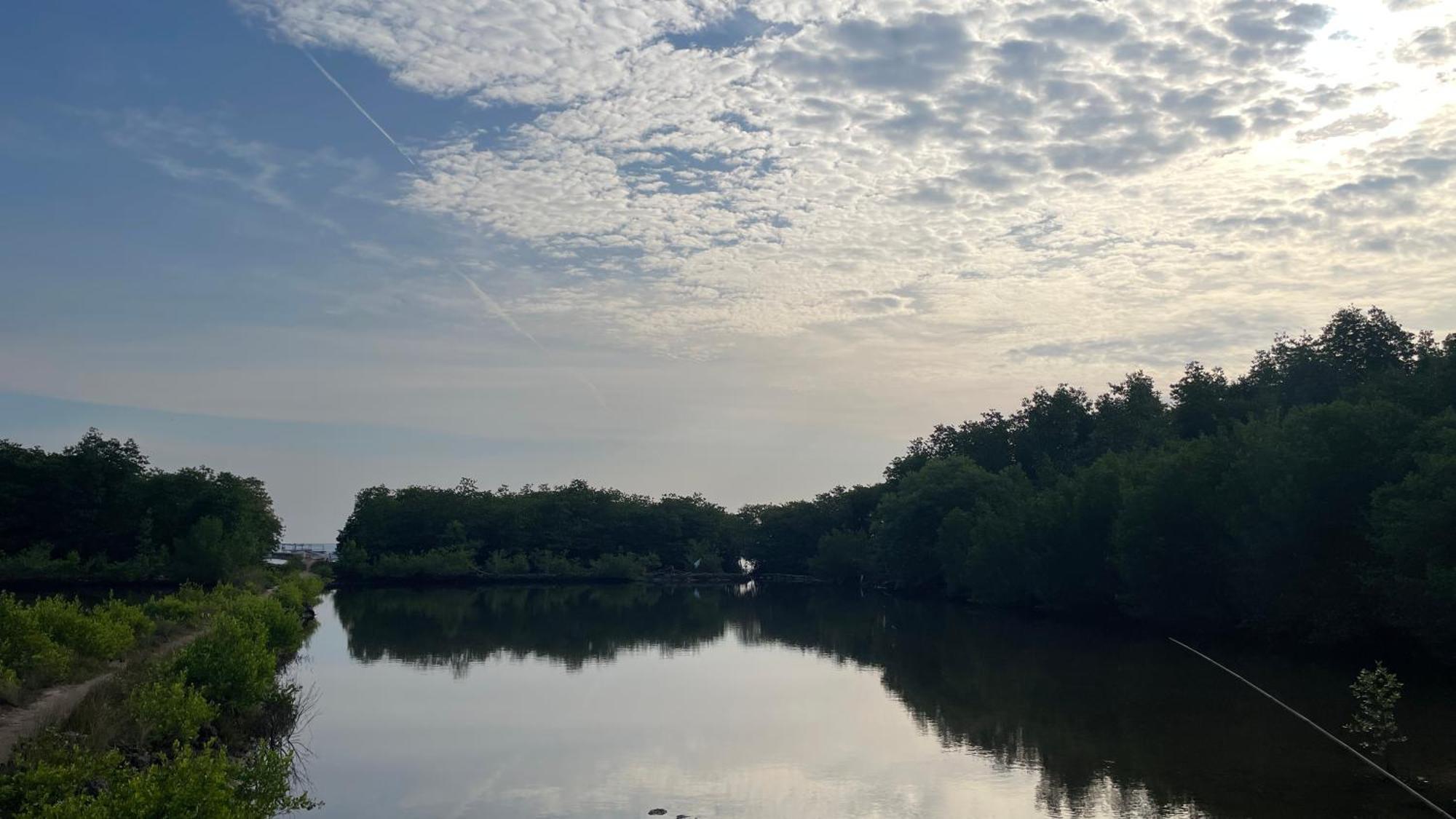 Mangrove Inn Karimunjawa Ngoại thất bức ảnh