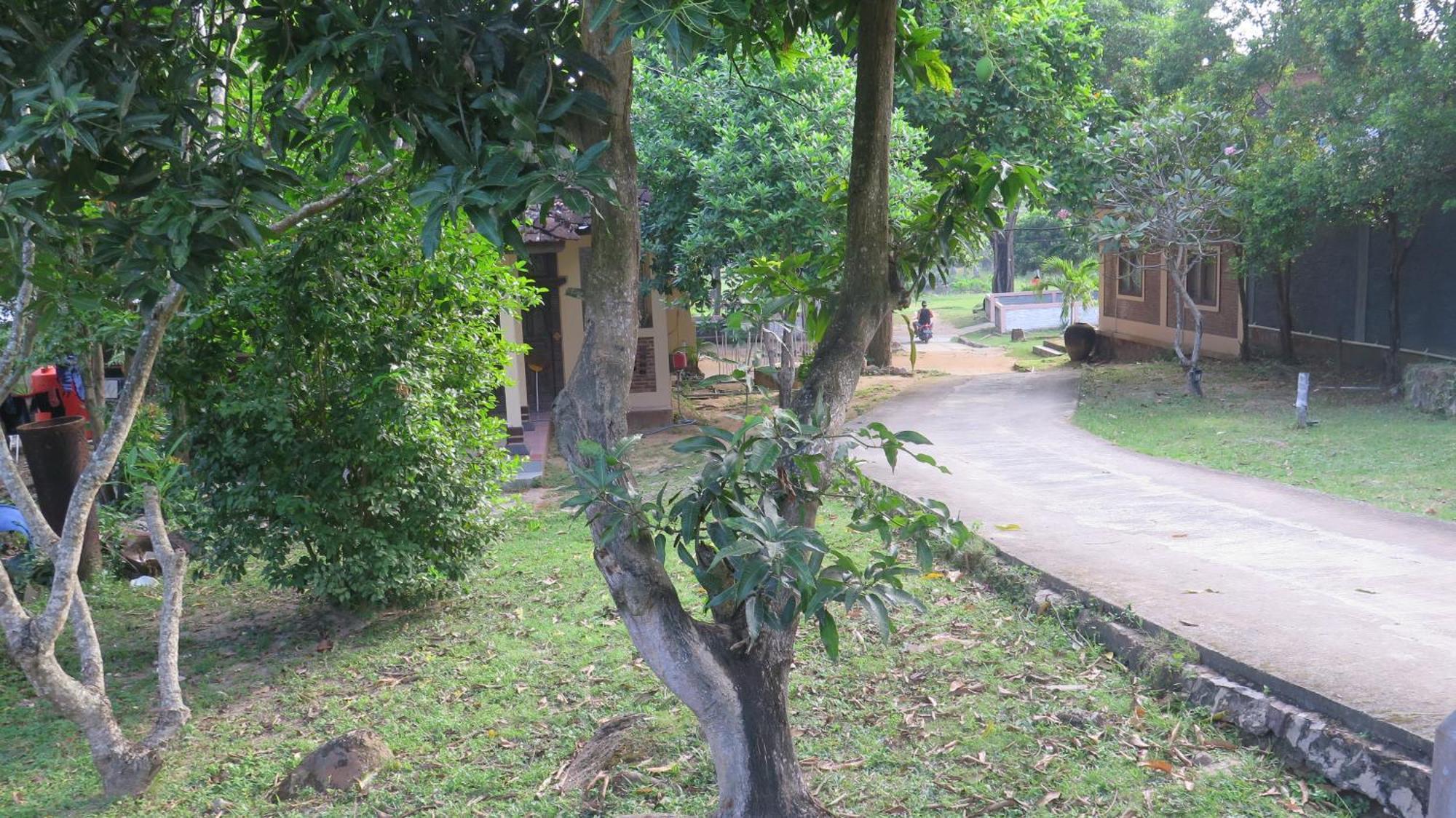 Mangrove Inn Karimunjawa Ngoại thất bức ảnh