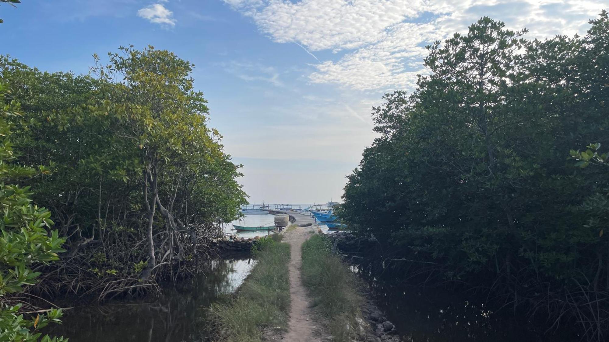 Mangrove Inn Karimunjawa Ngoại thất bức ảnh