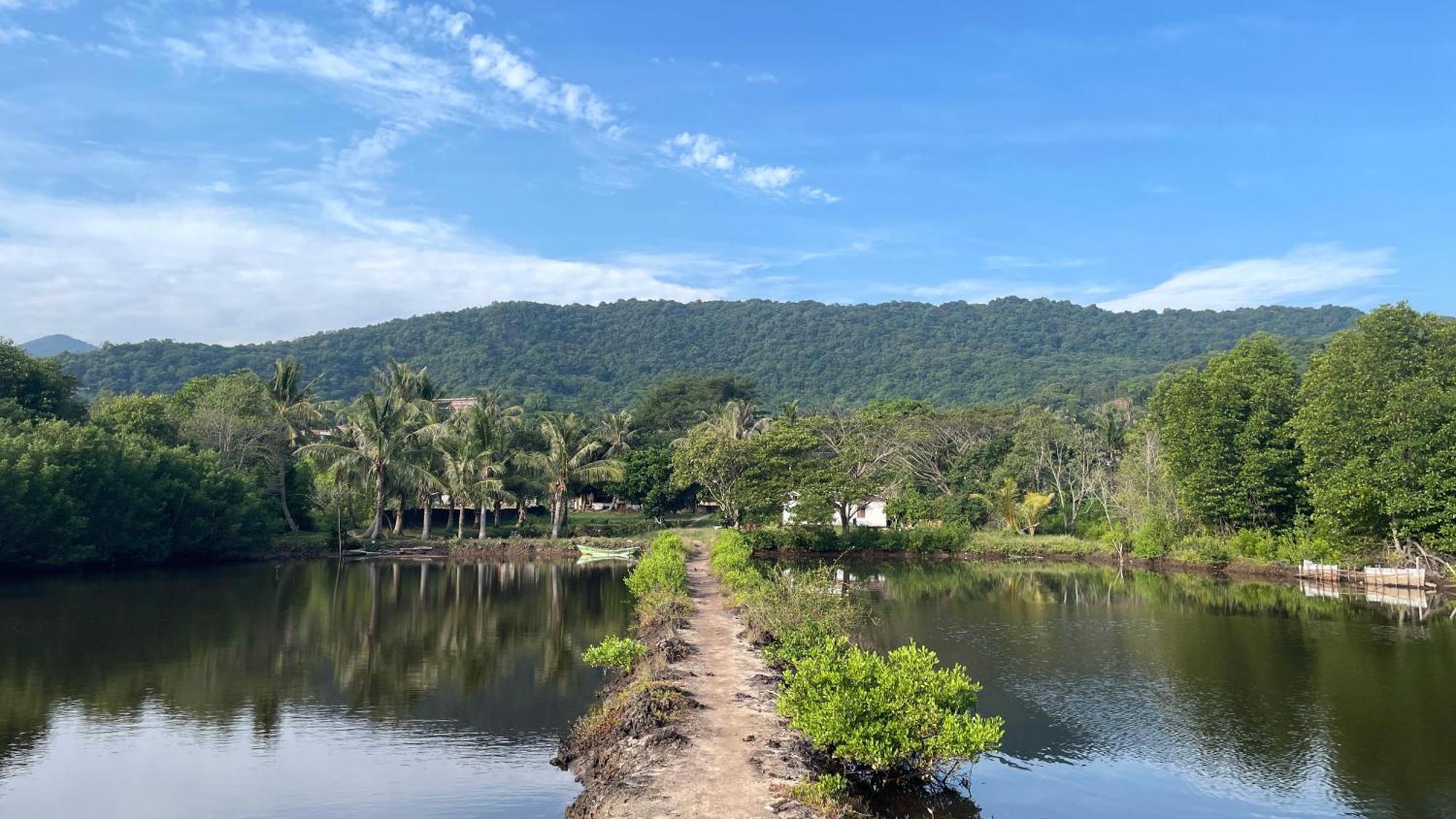 Mangrove Inn Karimunjawa Ngoại thất bức ảnh