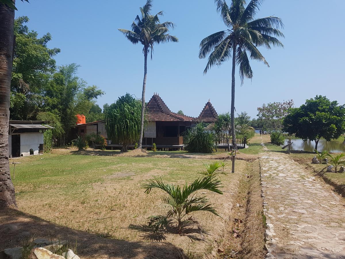 Mangrove Inn Karimunjawa Ngoại thất bức ảnh
