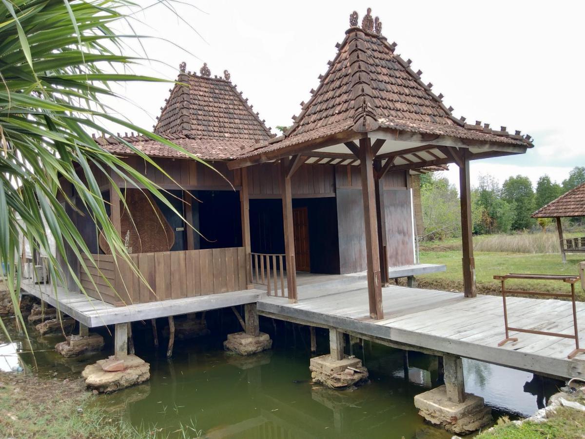 Mangrove Inn Karimunjawa Ngoại thất bức ảnh